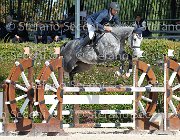 Riva Double Baroness GioCav2013 S6 7442 : Campionati Italiani Giovani Cavalli, Cattolica, Double Baroness, Riva Matteo, ph Stefano Secchi ©